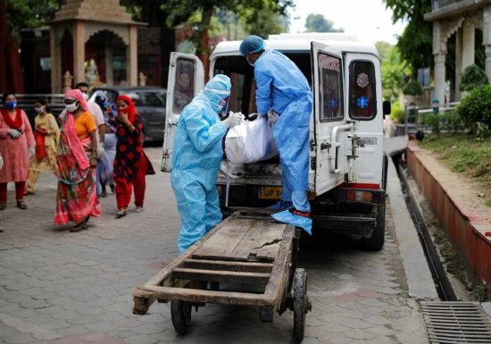 В Индии зафиксирована вспышка смертельного вируса...