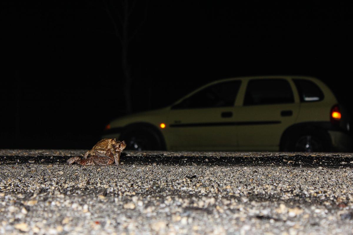 5cac58caae784919642e44d2 70ca0